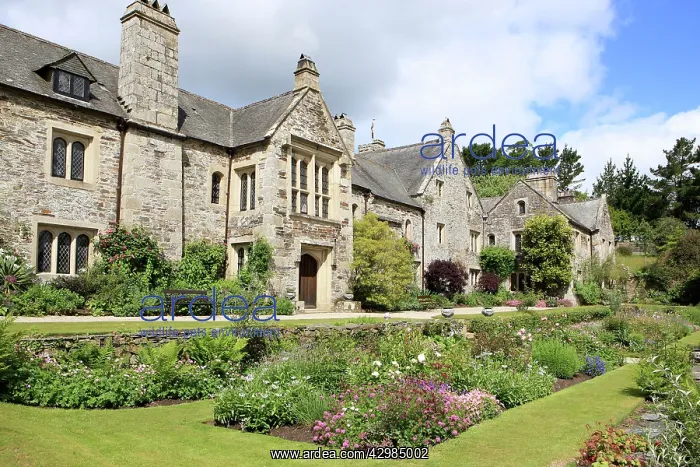  : Cotehele Tudor House and gardens
