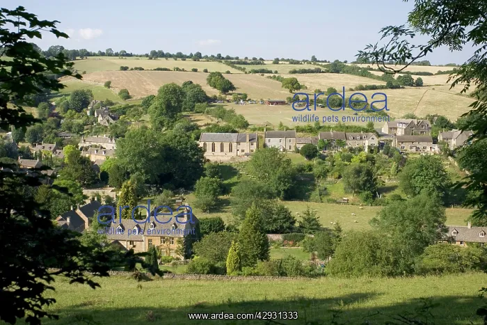  : Cotswold village of Naunton across the Windrush Valley, UK