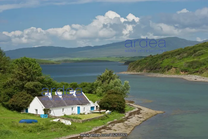 : Cottage on bay, near Mallaranny, County : Cottage on bay, near Mallaranny, County