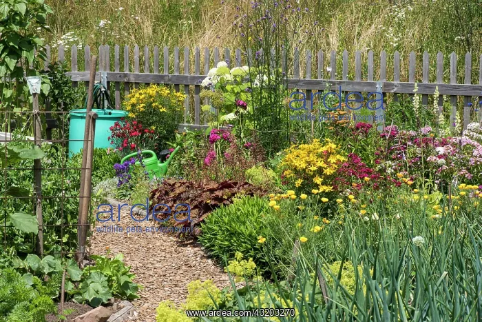 : Cottage garden, Mahlacker, Baden-Warttemberg, Germany : Cottage garden, Mahlacker, Baden-Warttemberg, Germany
