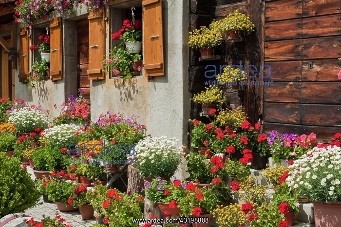 : Cottage garden in front of a Valais Renaissance : Cottage garden in front of a Valais Renaissance