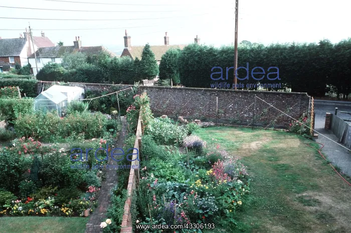 : Cottage Gardens : Cottage Gardens