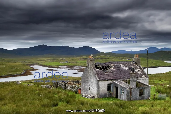  : Cottage ruin, House, Landscape, Tarbert, Isle of