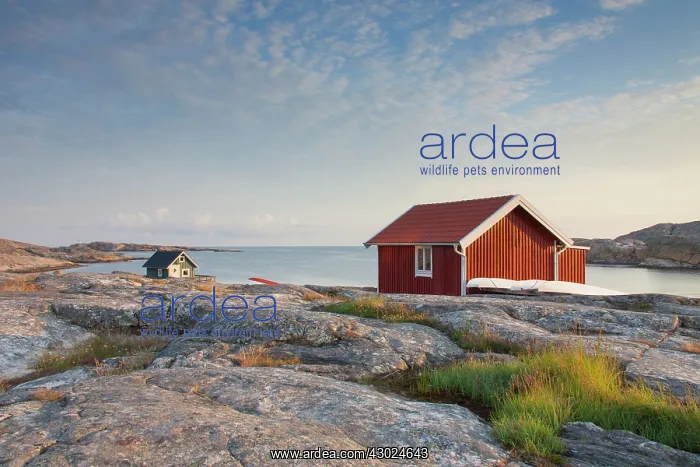 : Cottage Smoegen Fishing Hut by sea near Smoegen, Bohusl : Cottage Smoegen Fishing Hut by sea near Smoegen, Bohusl