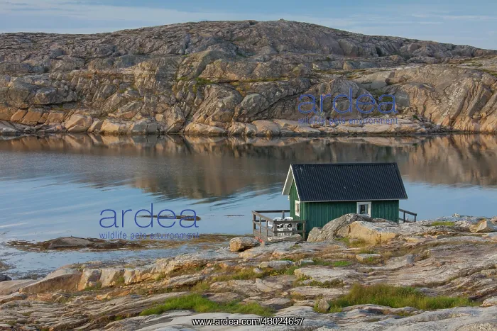 : Cottage Smoegen Fishing Hut by sea near Smoegen, Bohusl : Cottage Smoegen Fishing Hut by sea near Smoegen, Bohusl