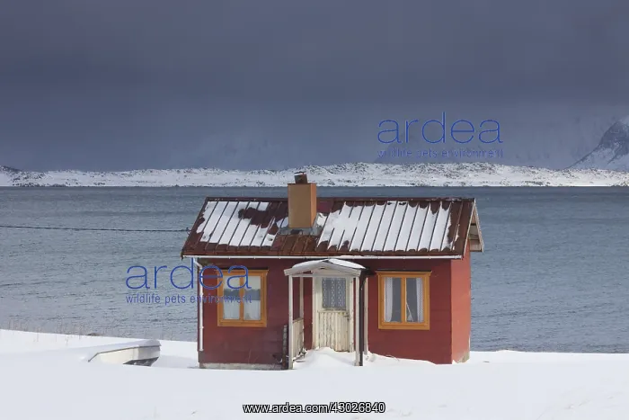  : Cottage in snow storm - Lofoten - Norway