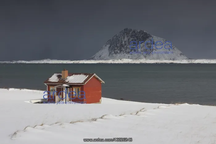  : Cottage in snow storm - Lofoten - Norway
