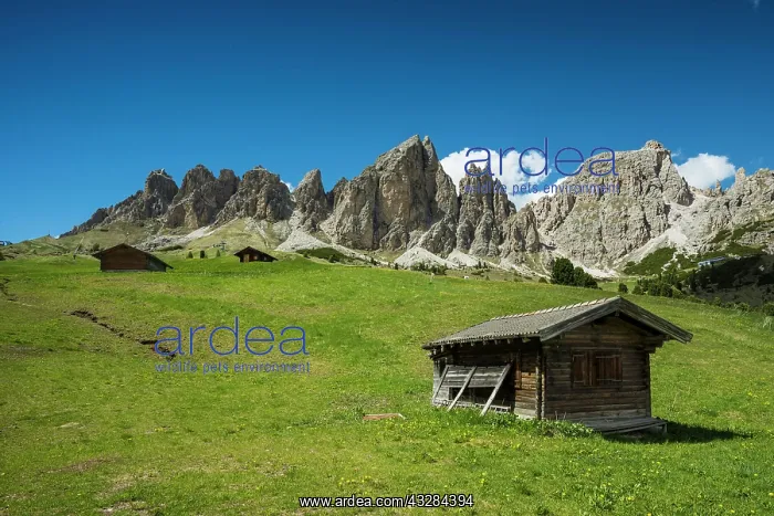 : Cottages on the Gardena Pass, Passo Gardena, nature : Cottages on the Gardena Pass, Passo Gardena, nature