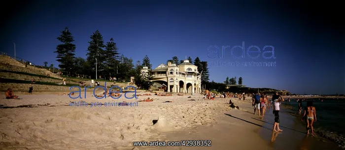 : Cottesloe Beach, PerthIs premiere beach. Perth : Cottesloe Beach, PerthIs premiere beach. Perth