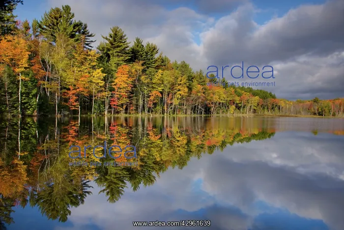 : Council Lake - Upper Peninsular : Council Lake - Upper Peninsular