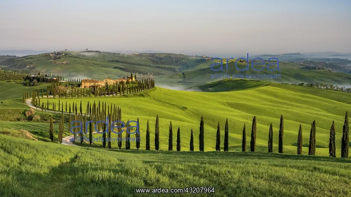 : Country estate Agriturismo Baccoleno with cypres : Country estate Agriturismo Baccoleno with cypres