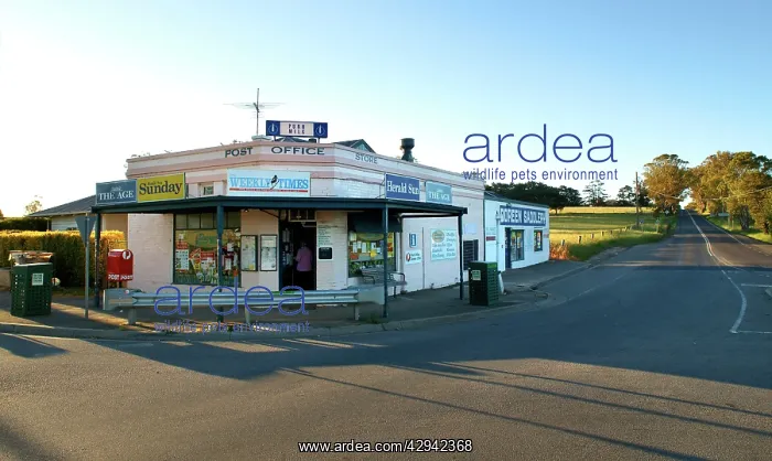 : Country General Store and Post Office, Doreen : Country General Store and Post Office, Doreen
