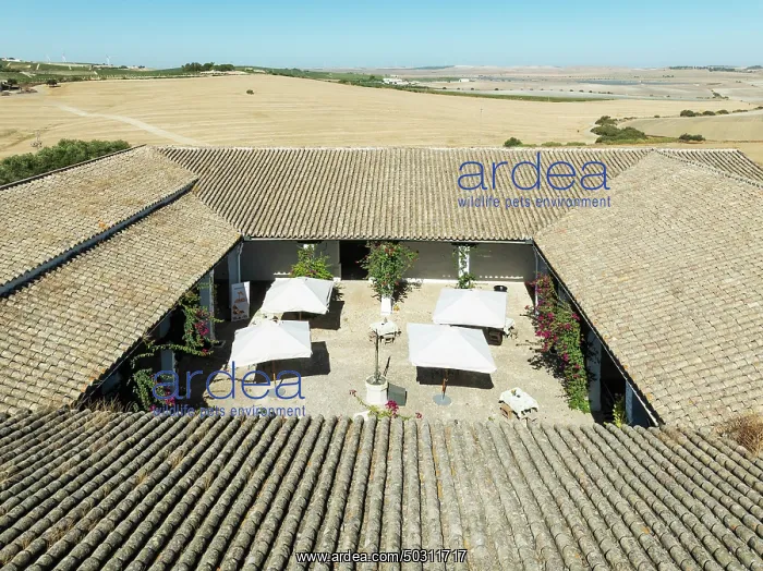 : Country house at the La Canariera vineyard of the Bodega González Byass near the town of Jerez de la : Country house at the La Canariera vineyard of the Bodega González Byass near the town of Jerez de la
