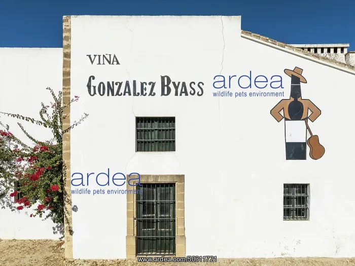 : Country house at the La Canariera vineyard of the Bodega González Byass near the town of Jerez de la : Country house at the La Canariera vineyard of the Bodega González Byass near the town of Jerez de la