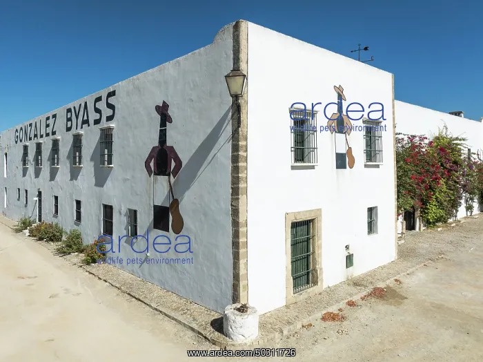 : Country house at the La Canariera vineyard of the Bodega González Byass near the town of Jerez de la : Country house at the La Canariera vineyard of the Bodega González Byass near the town of Jerez de la