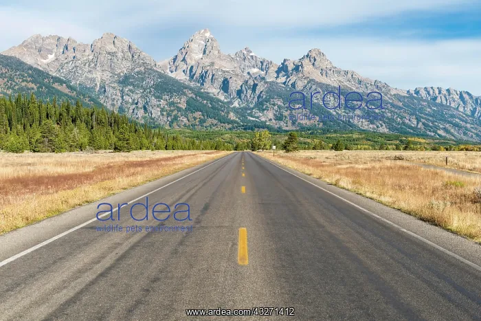 : Country road in front of Grand Teton Range, Grand : Country road in front of Grand Teton Range, Grand