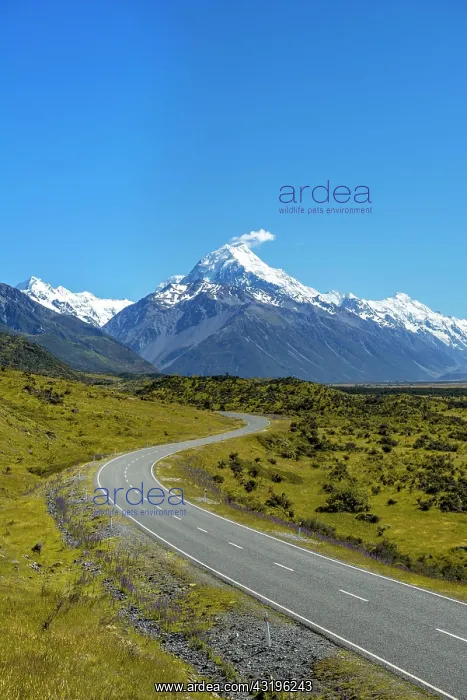 : Country road overlooking snow-capped Mount Cook : Country road overlooking snow-capped Mount Cook