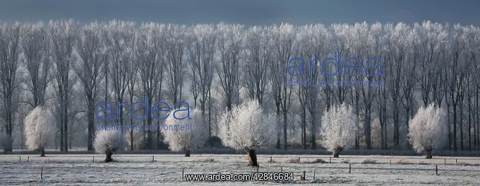 : Countryside landscape in winter : Countryside landscape in winter