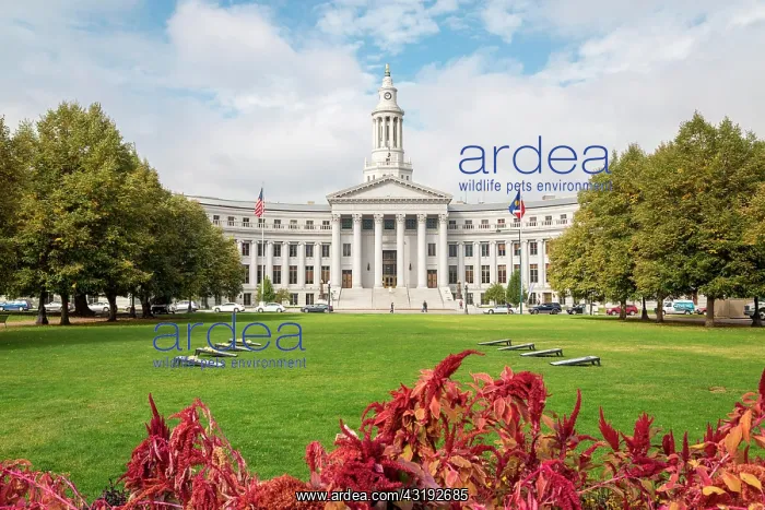 : County Court, Denver, Colorado, USA, North America : County Court, Denver, Colorado, USA, North America