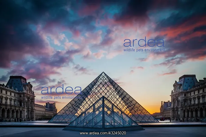 : Courtyard of Musee du Louvre at sunset : Courtyard of Musee du Louvre at sunset