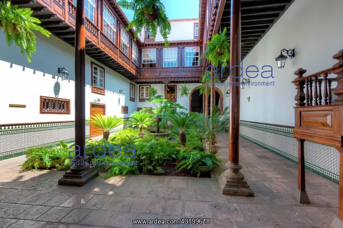 : Courtyard of an old mansion in the historic centre : Courtyard of an old mansion in the historic centre