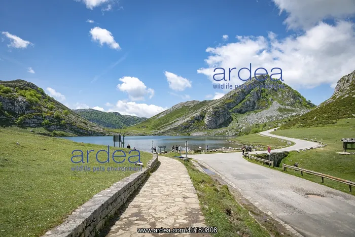 : Covadonga, spain : Covadonga, spain