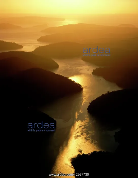  : Cowan Water joining Hawkesbury River, with Broken