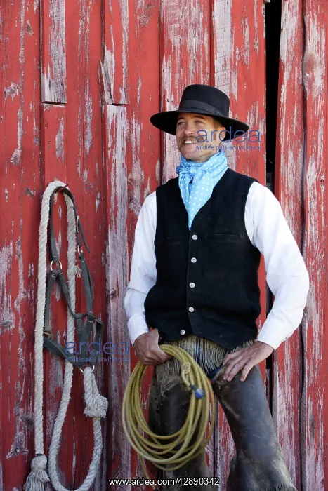 : Cowboy. Ponderosa Ranch - Seneca - Oregon - USA : Cowboy. Ponderosa Ranch - Seneca - Oregon - USA