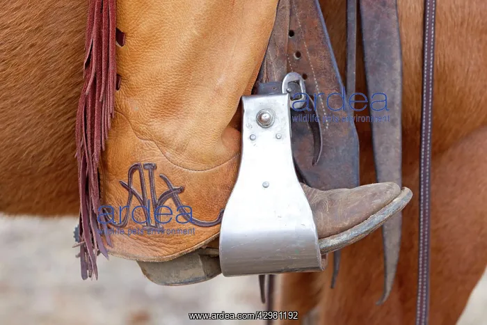  : Cowboy - boot in Horse stirrup