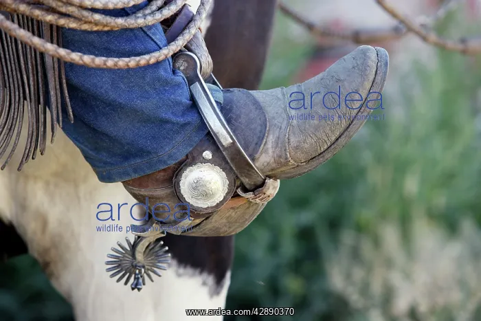 : Cowboy - close-up of boot and spur : Cowboy - close-up of boot and spur