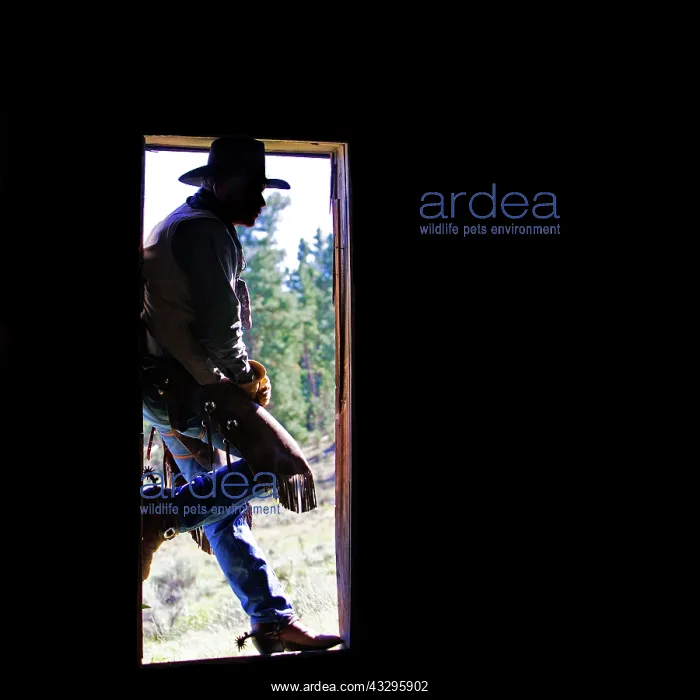 : Cowboy - silhouetted in door frame : Cowboy - silhouetted in door frame
