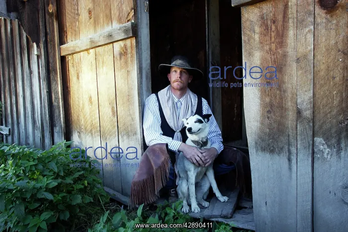 : Cowboy - sitting with Border Collie : Cowboy - sitting with Border Collie