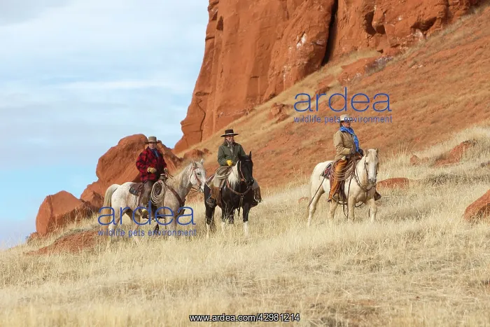 : Cowboys / Cowgirls - riding on Quarter Horses : Cowboys / Cowgirls - riding on Quarter Horses