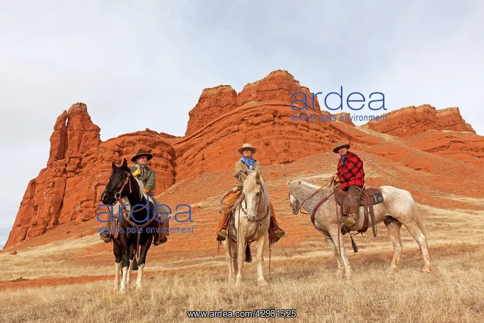 : Cowboys - riding on Quarter Horses : Cowboys - riding on Quarter Horses