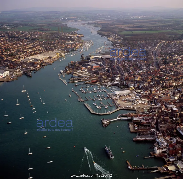 : Cowes, on the west bank of the estuary of the River : Cowes, on the west bank of the estuary of the River