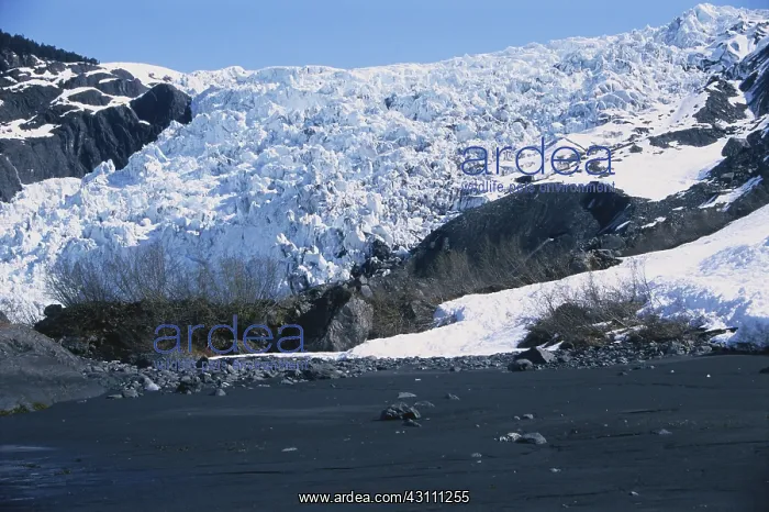 : Coxe Glacier : Coxe Glacier