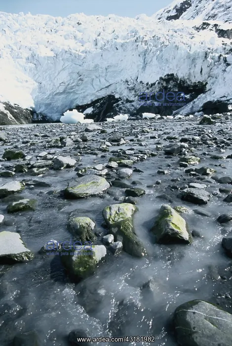 : Coxe Glacier : Coxe Glacier