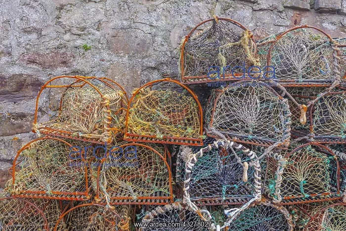 : Crab creels - a bunch of colourful empty crab creels : Crab creels - a bunch of colourful empty crab creels