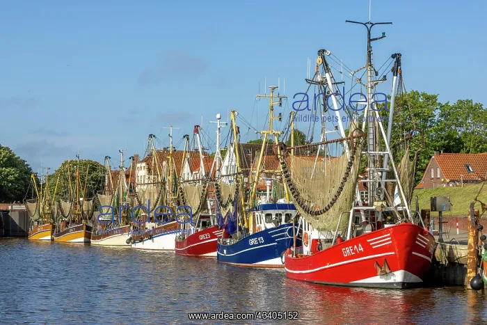: Crab cutter with crab net in the harbour of Greetsiel : Crab cutter with crab net in the harbour of Greetsiel
