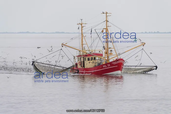  : Crab cutter in the Wadden Sea, Wadden Sea National