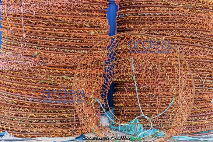 : Crab traps on dock at Fisherman's Cove, Eastern Passage : Crab traps on dock at Fisherman's Cove, Eastern Passage