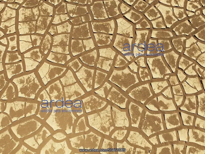 : Cracked earth. Aerial view. Drone shot : Cracked earth. Aerial view. Drone shot