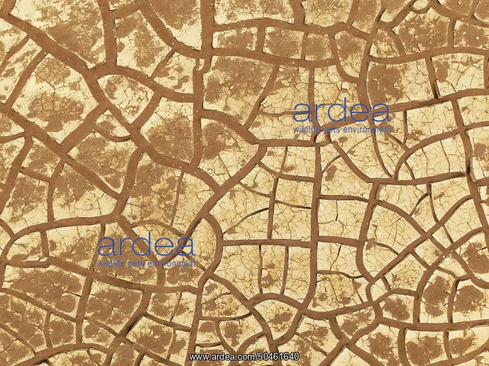 : Cracked earth. Aerial view. Drone shot : Cracked earth. Aerial view. Drone shot