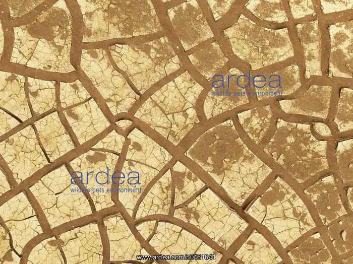: Cracked earth. Aerial view. Drone shot : Cracked earth. Aerial view. Drone shot