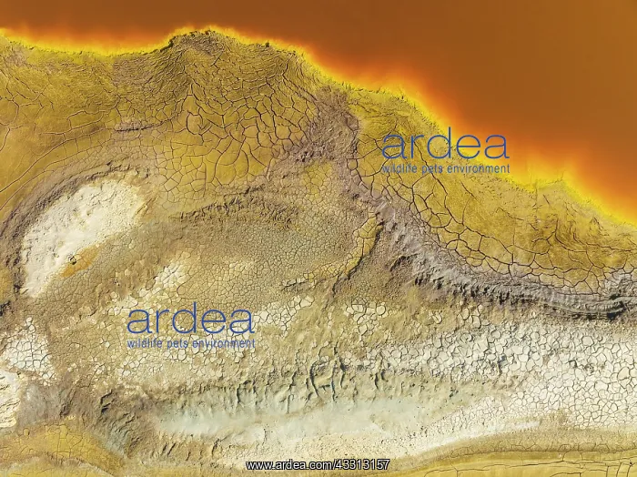: Cracked earth at the bank of the Rio Tinto (Red : Cracked earth at the bank of the Rio Tinto (Red