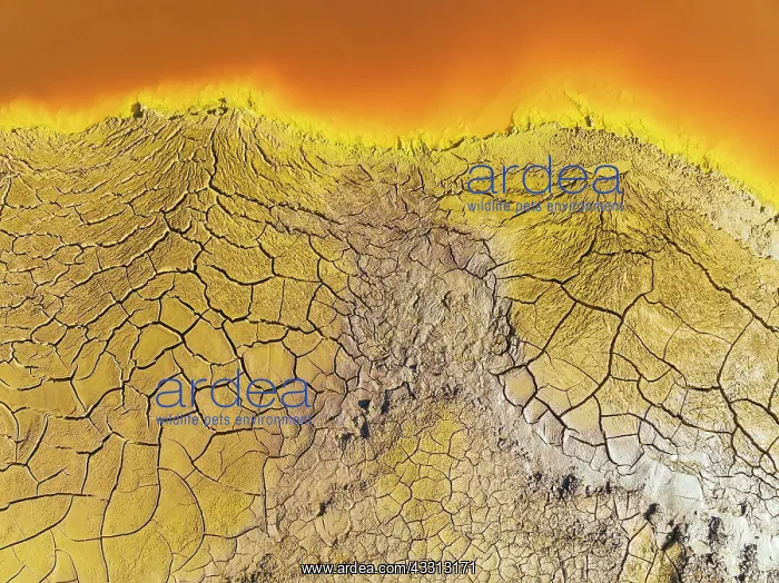 : Cracked earth at the bank of the Rio Tinto (Red : Cracked earth at the bank of the Rio Tinto (Red