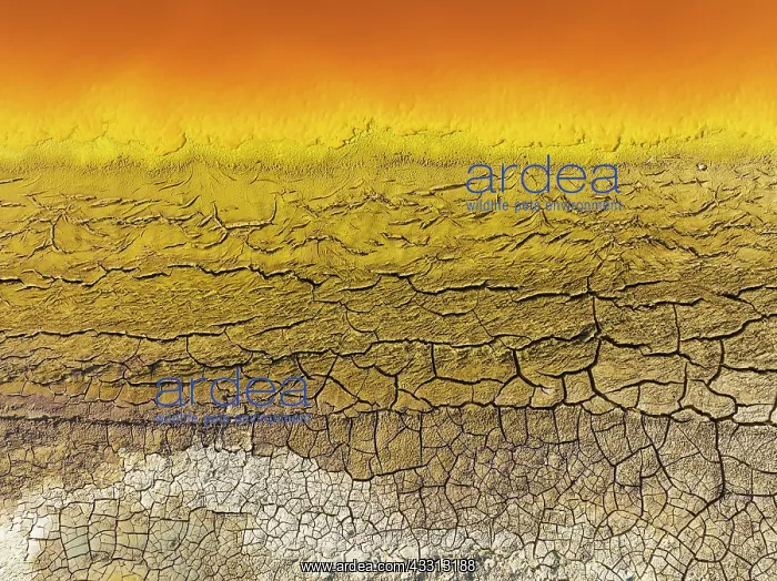 : Cracked earth at the bank of the Rio Tinto (Red : Cracked earth at the bank of the Rio Tinto (Red