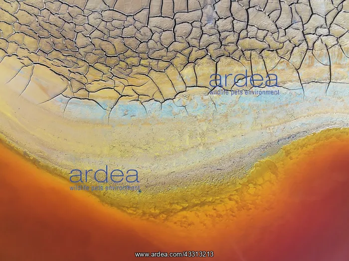 : Cracked earth at the bank of the Rio Tinto (Red : Cracked earth at the bank of the Rio Tinto (Red