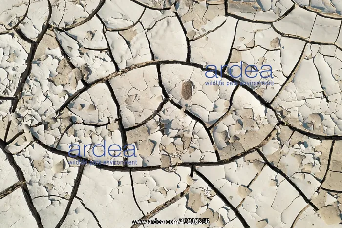  : Cracked earth. Damaraland, Namibia