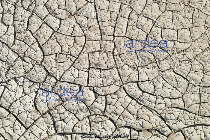 : Cracked earth. Damaraland, Namibia : Cracked earth. Damaraland, Namibia